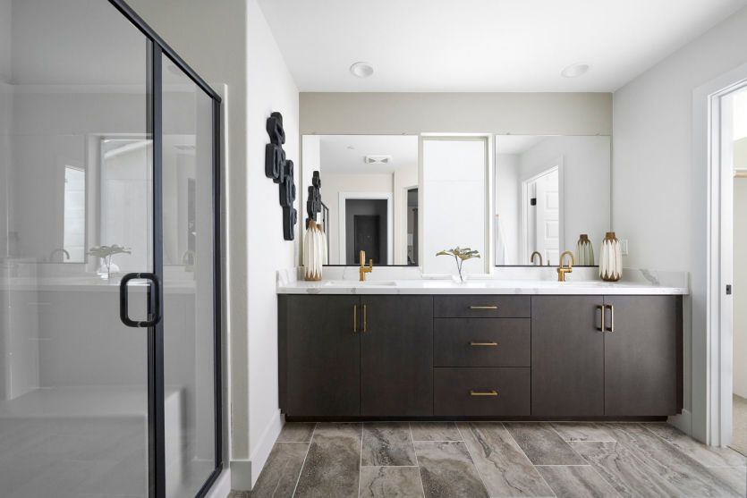 Owner's Bathroom