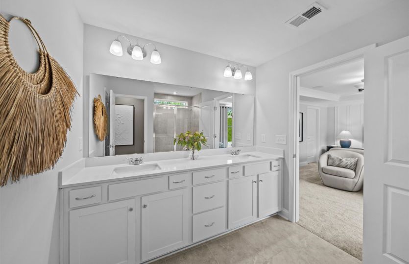 Owner's Bath