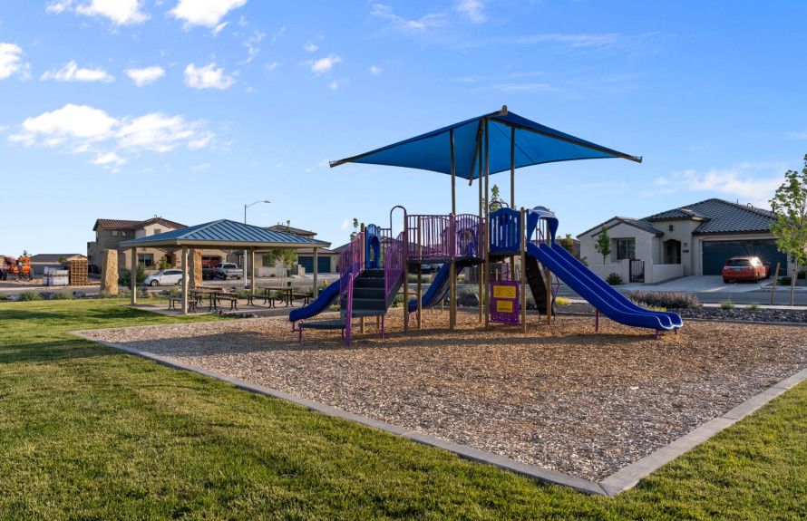 Family Play Structures