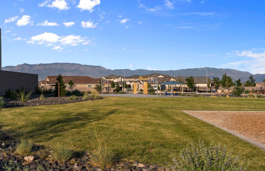 Stunning Mountain Views