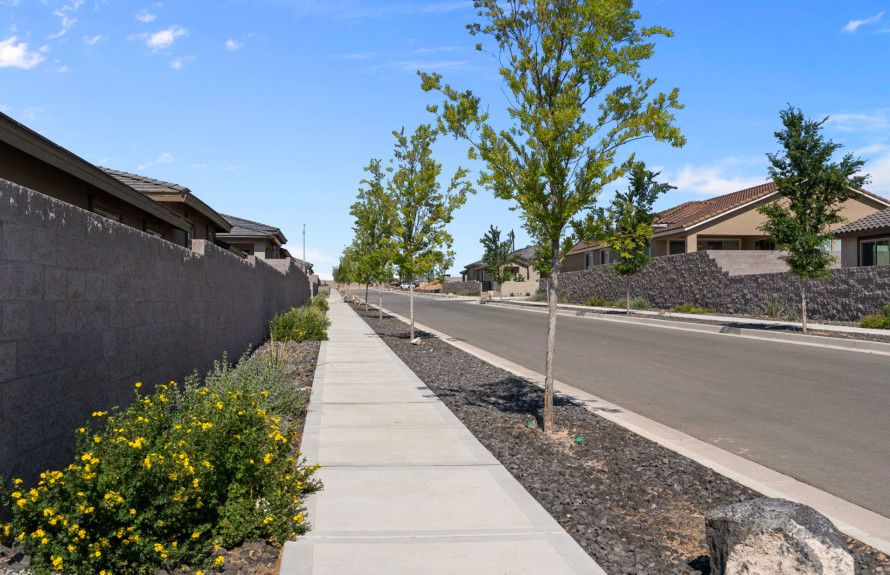 Polished Landscaping