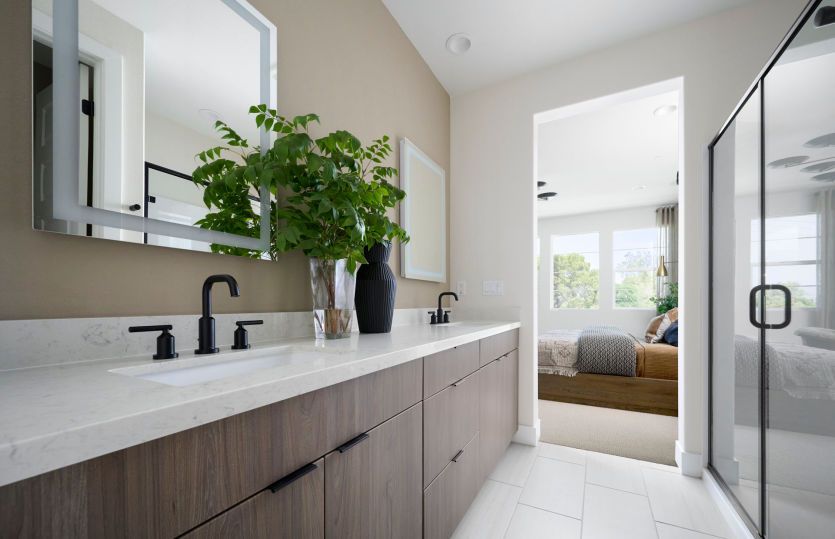 Owner's Bathroom
