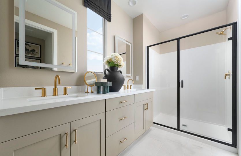 Owner's Bathroom
