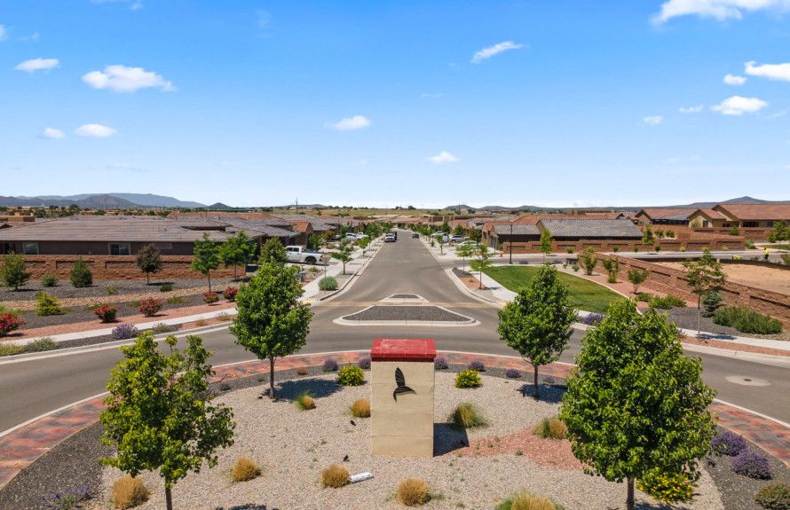 Thoughtful Landscaping