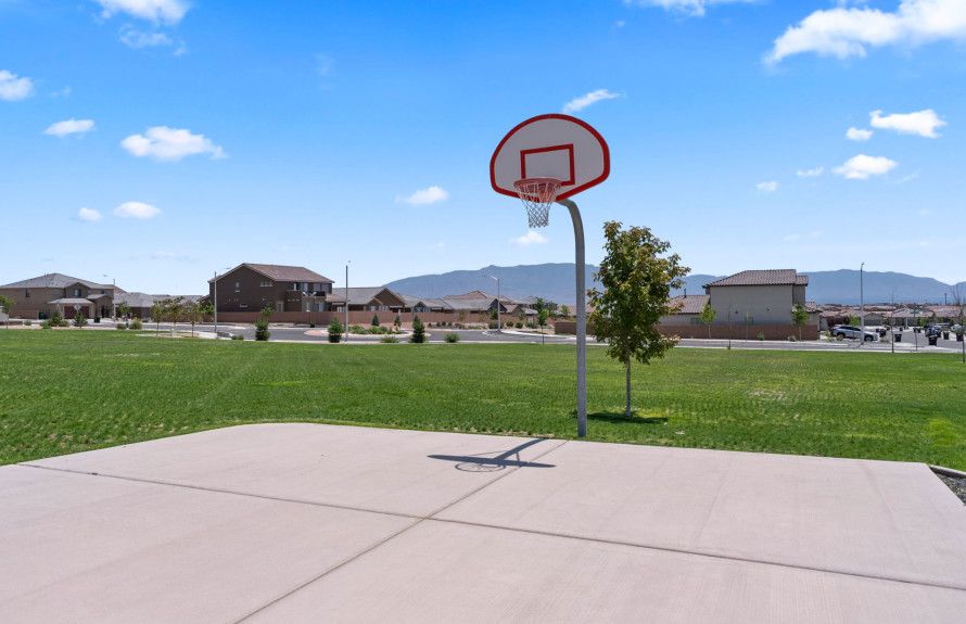 Basketball Hoop