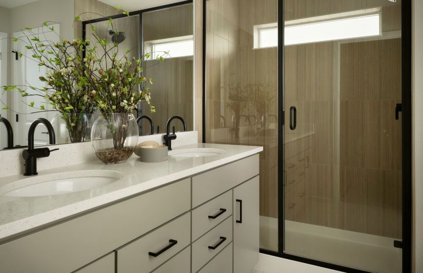 Owner's Bath