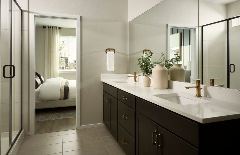 Owner's Bath