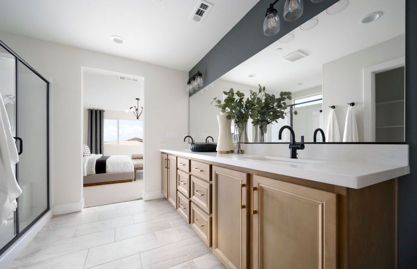 Owner's Bathroom
