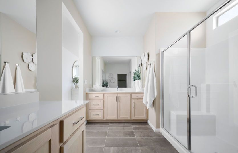 Owner's Bathroom