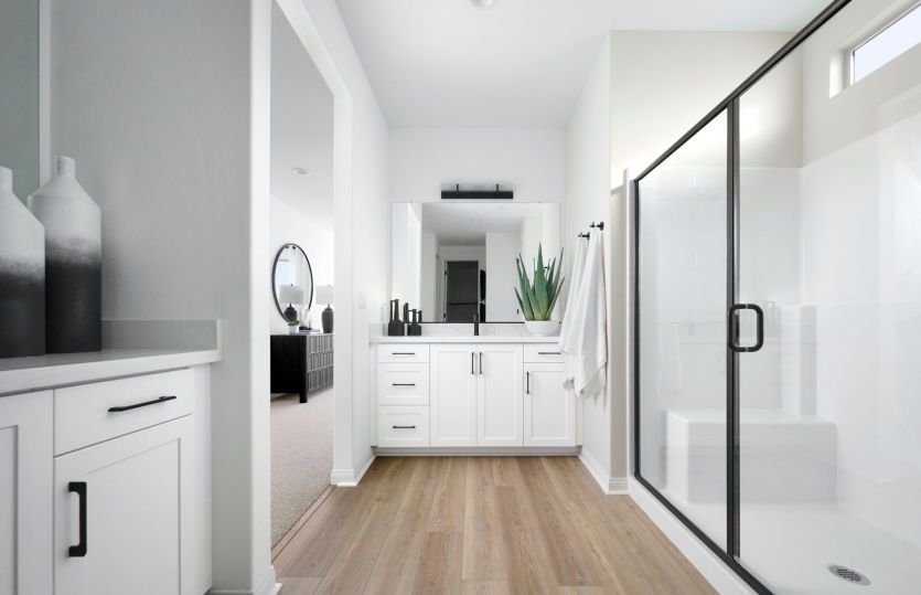 Owner's Bathroom
