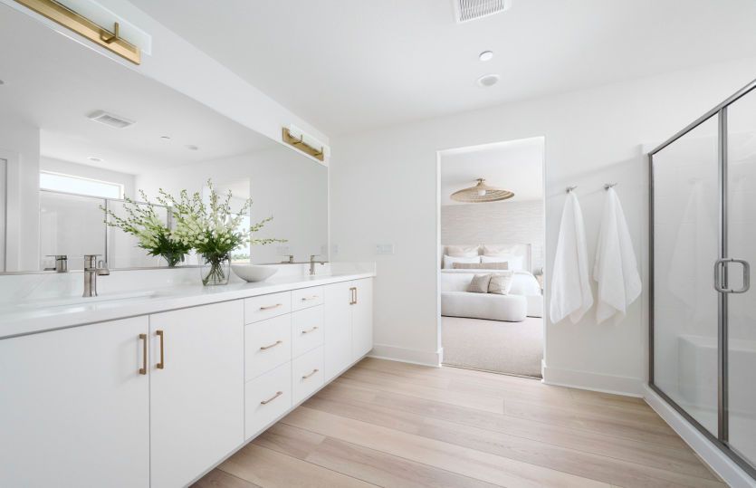 Owner's Bathroom