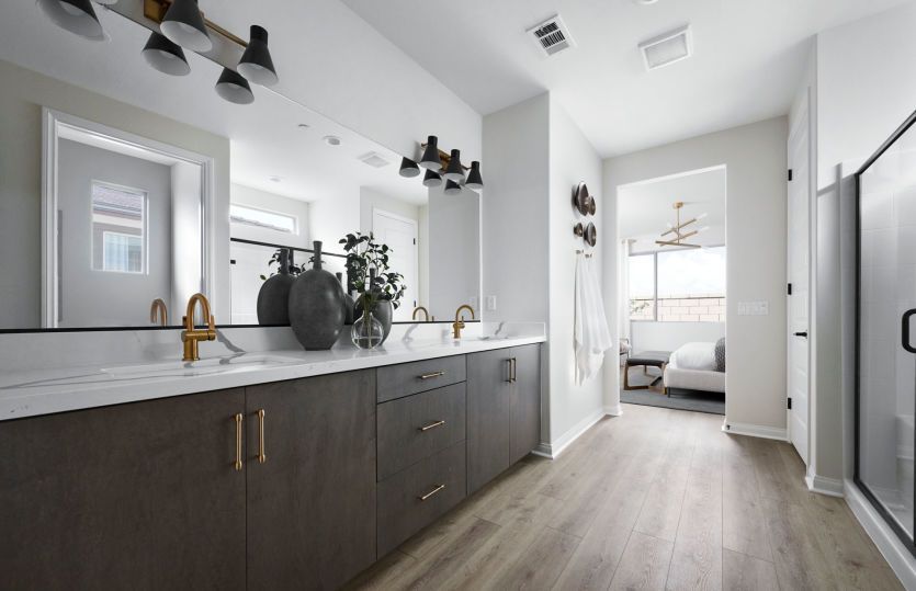 Owner's Bathroom