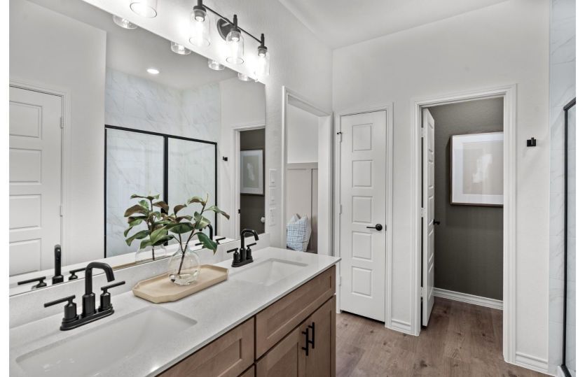 Owner's Bath