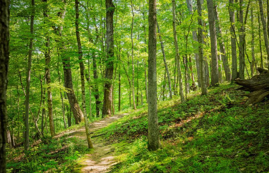 Red Rock Wilderness Trail