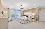 Silverleaf Oaks - Winter Garden, FL