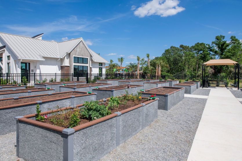 Vida's Bloom Community Garden