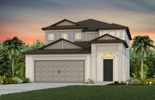 Pinecrest - Waterset: Apollo Beach, Florida - Pulte Homes