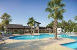 Riverwood - Zephyrhills, FL