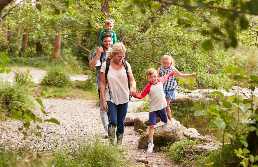 Nearby hiking trails