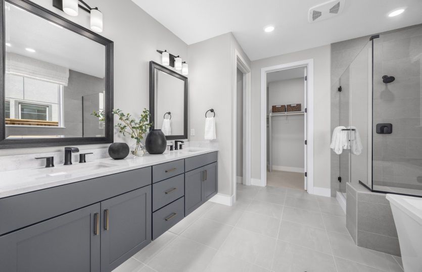 Primary bedroom suite bathroom