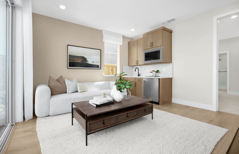 Guest suite living room with kitchenette