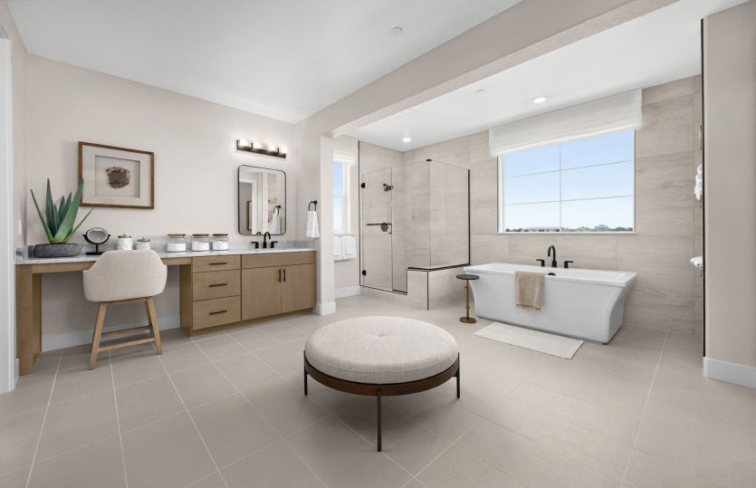 Owner's suite bathroom