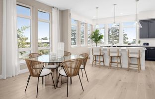 Plan D - The Heights: San Mateo, California - Pulte Homes