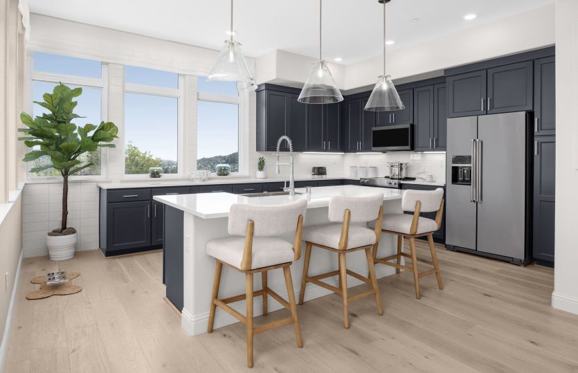 Kitchen with large windows and natural sunlight