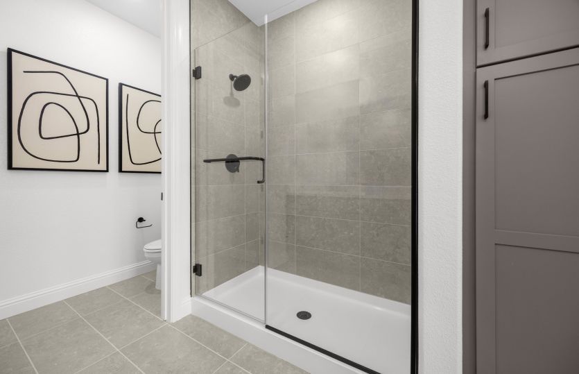 Walk-in shower in owner's bath