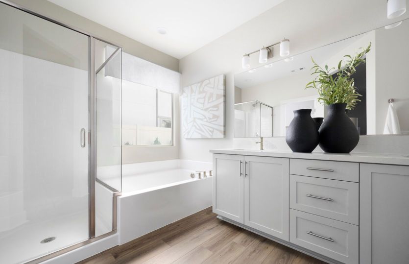 Owner's Bathroom