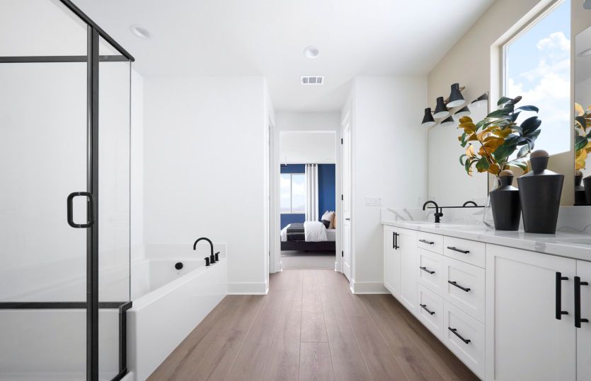 Owner's Bathroom