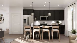 Ivy - Washington Place: Conshohocken, Pennsylvania - Pulte Homes