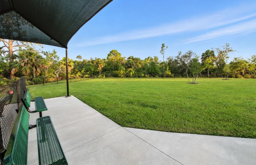 Dog Park
