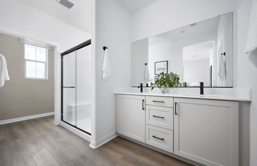 Owner's Bathroom