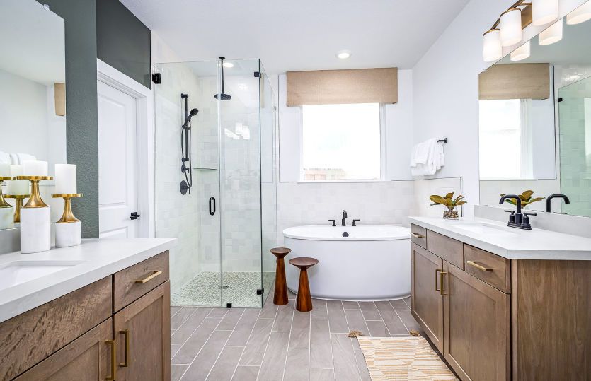 Luxurious Owner's Bath