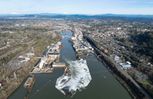 Chene Blanc - West Linn, OR