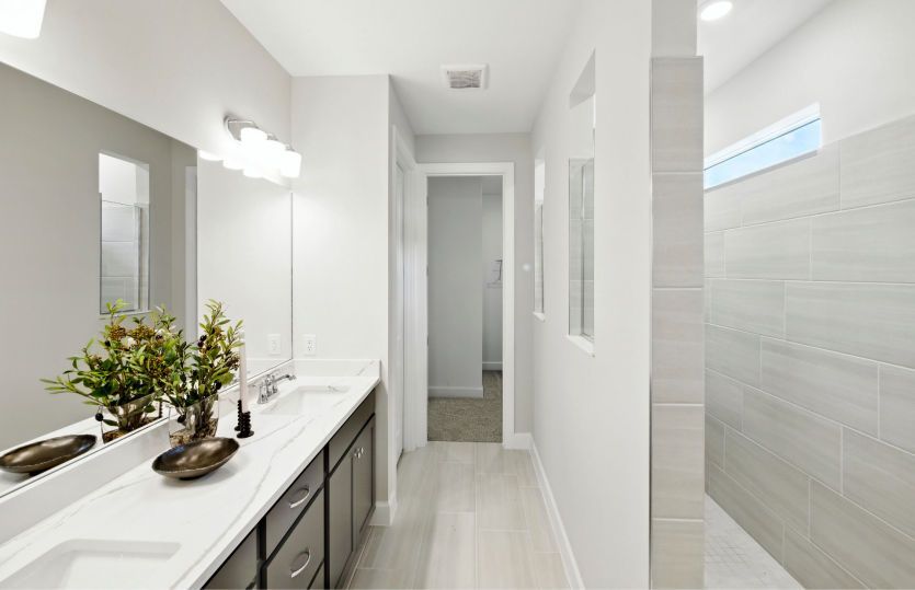 Owner's bathroom