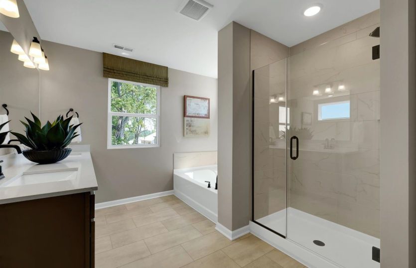 Master Suite Bathroom