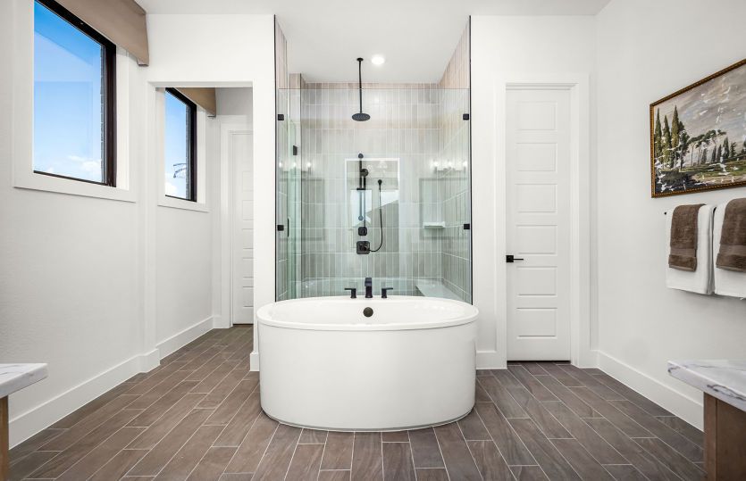 Luxurious Freestanding Tub and Walk-In Shower