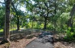 Sea Island Preserve - Johns Island, SC