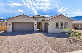 Patagonia - Vistoso Canyon Estates: Oro Valley, Arizona - Pulte Homes