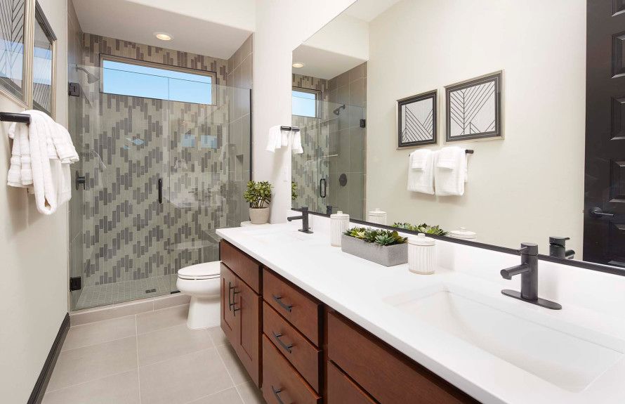 Saguaro Reserve - Majesty