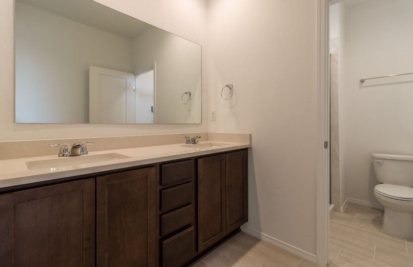 Owner's Bath
