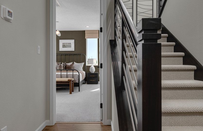 Model Representation