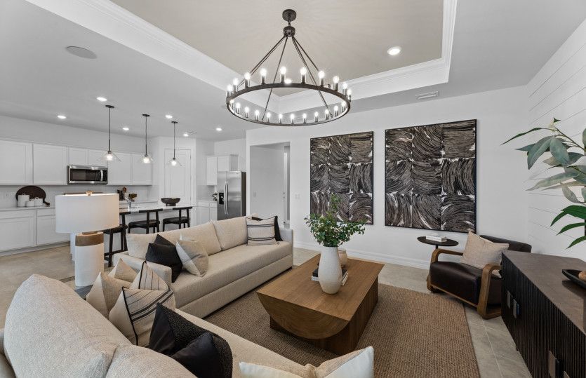 Gathering room with tray ceiling detail