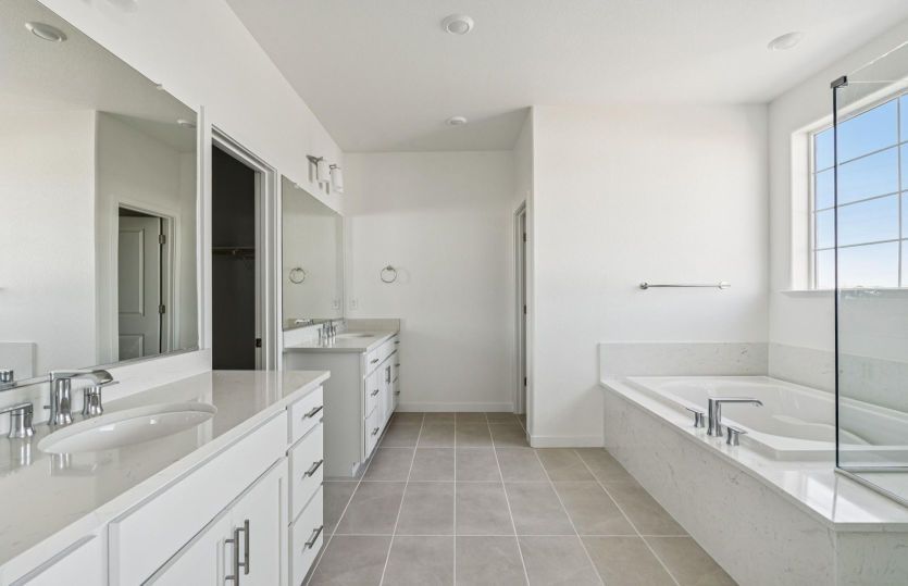 Large owner's suite bathroom