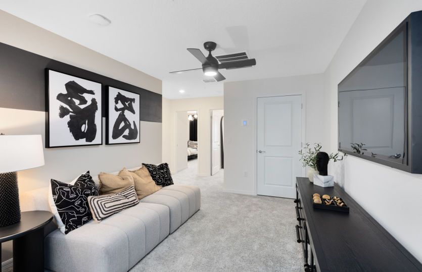 Orchid | Loft Space