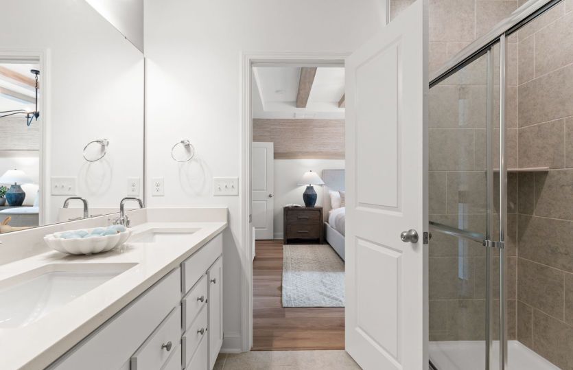 Owner's Bathroom, Model Representation