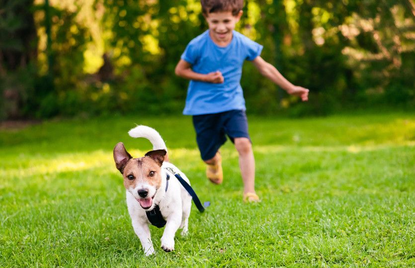 Community Dog Park