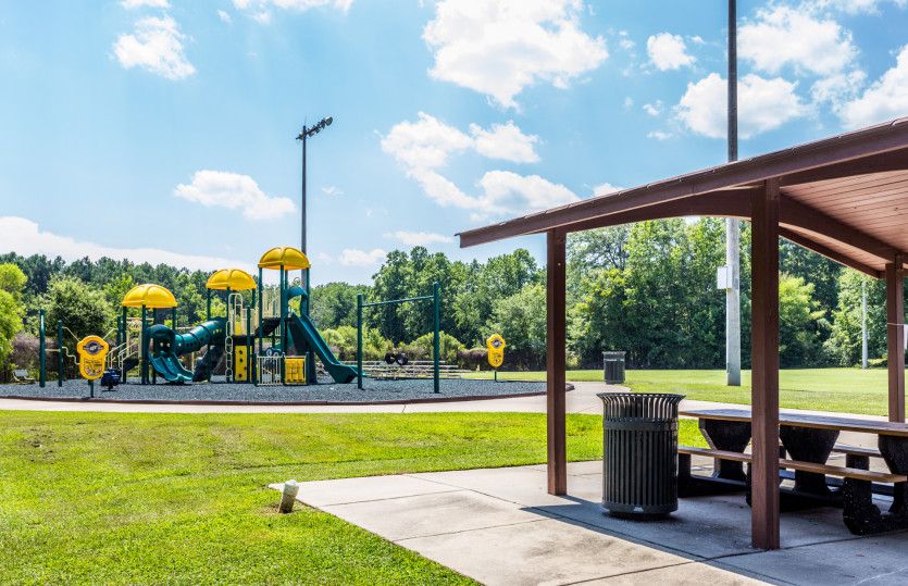 Visit the Local Park to Play Frisbee or Walk